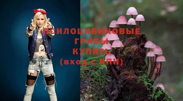 метадон Нея